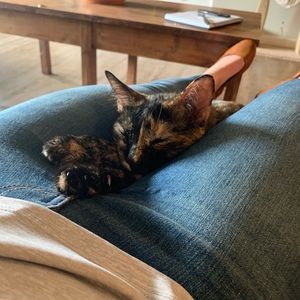 Meet your Posher, Baylee